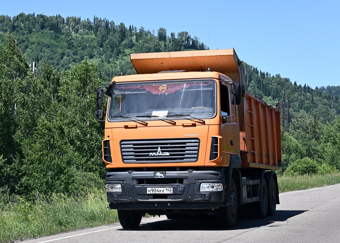 Кемеровская область, № Н 904 КК 142 — МАЗ-650128