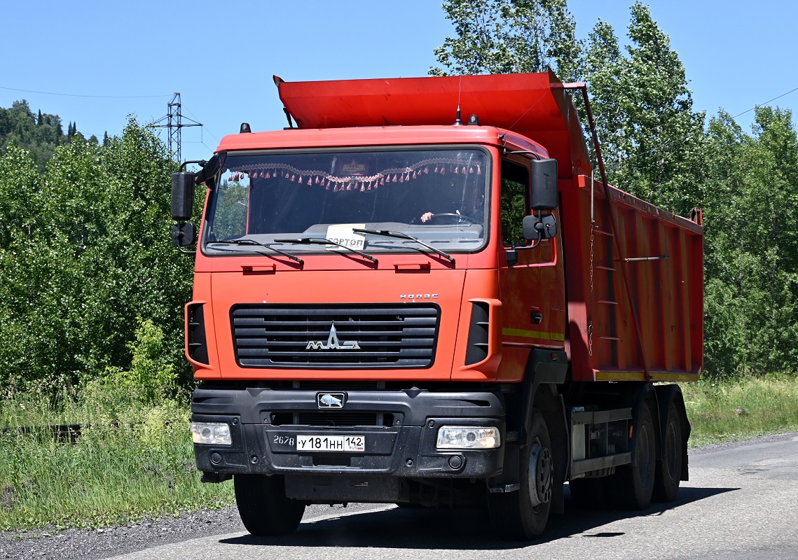Кемеровская область, № У 181 НН 142 — МАЗ-650128