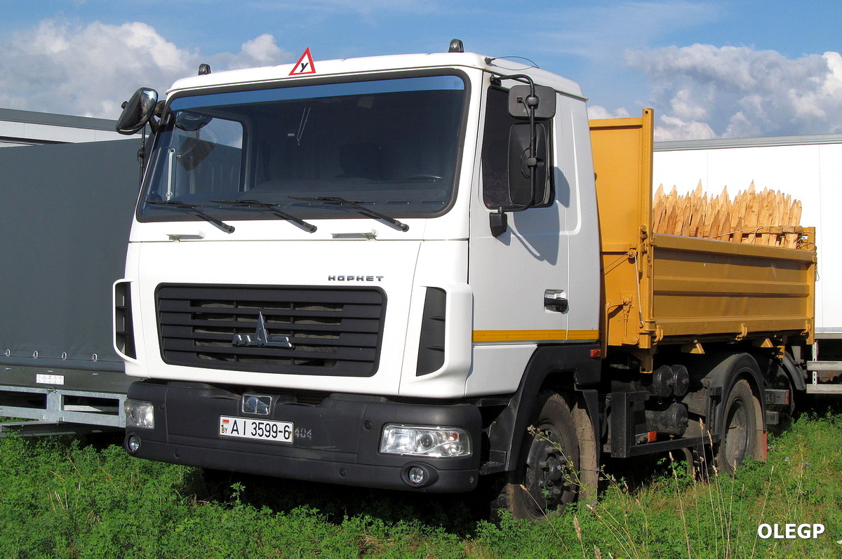 Могилёвская область, № АІ 3599-6 — МАЗ-4571