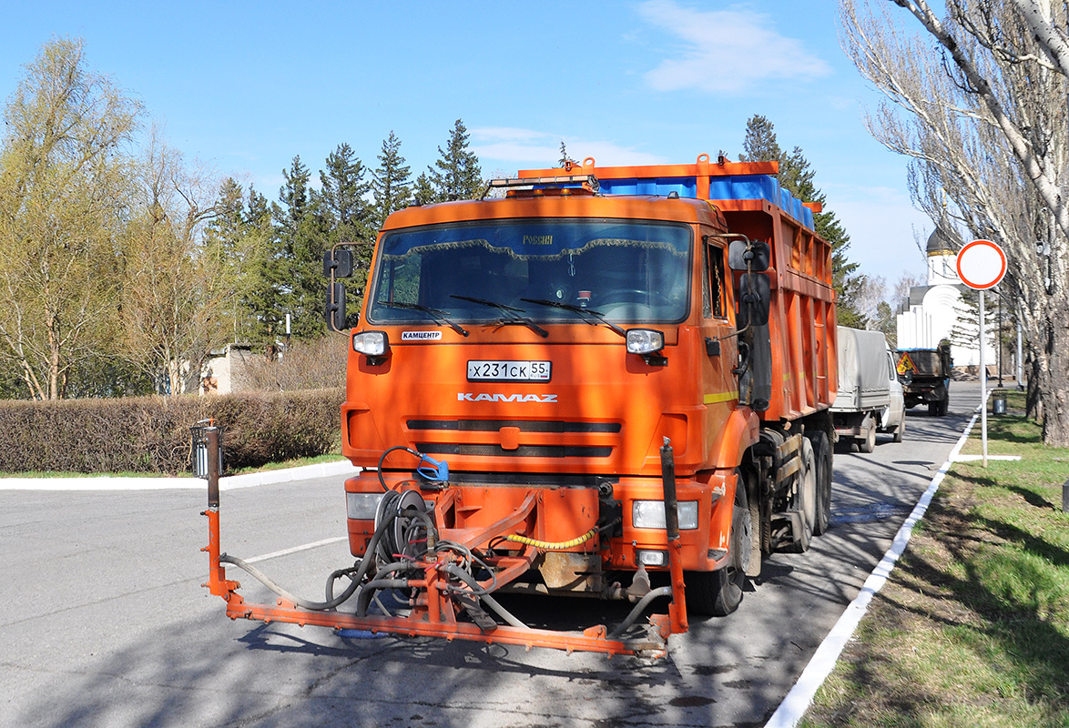 Омская область, № Х 231 СК 55 — КамАЗ-65115-A5(48)