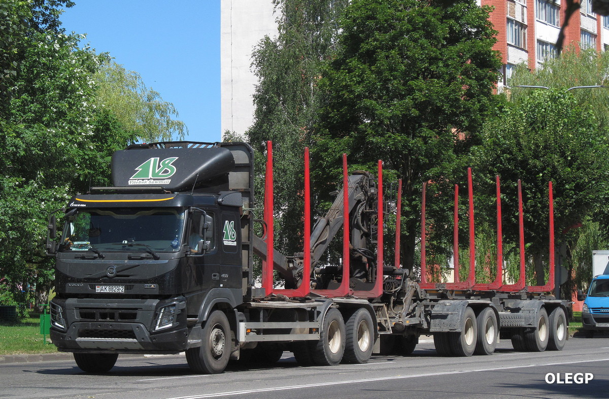 Витебская область, № АК 8829-2 — Volvo ('2013) FMX.460
