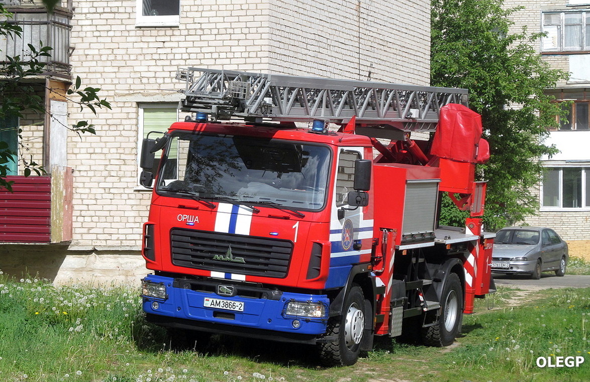 Витебская область, № АМ 3866-2 — МАЗ-5340C2