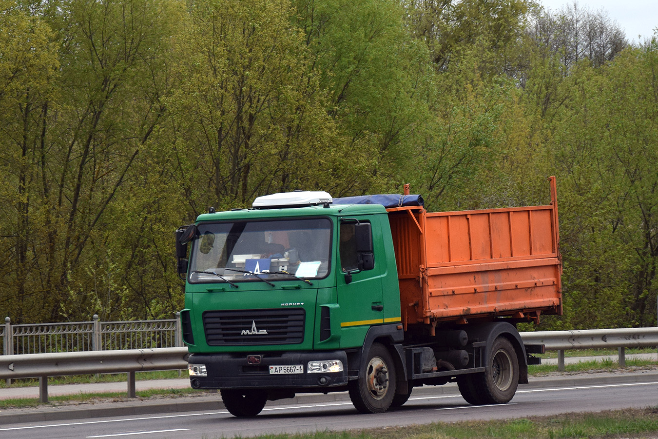 Брестская область, № AР 5667-1 — МАЗ (общая модель)