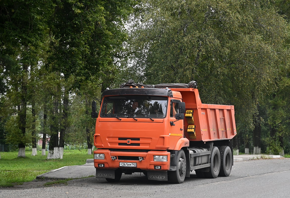 Кемеровская область, № Т 261 КМ 142 — КамАЗ-65115-50