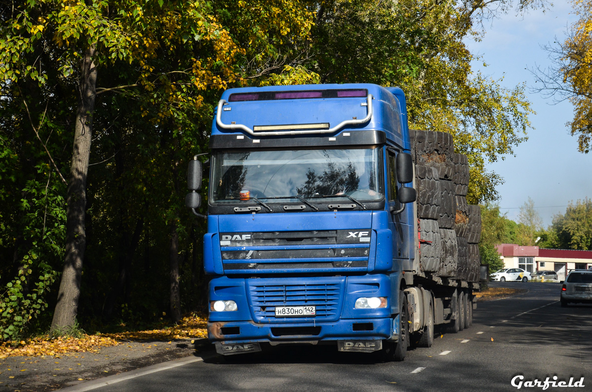 Кемеровская область, № Н 830 НО 142 — DAF 95XF FT