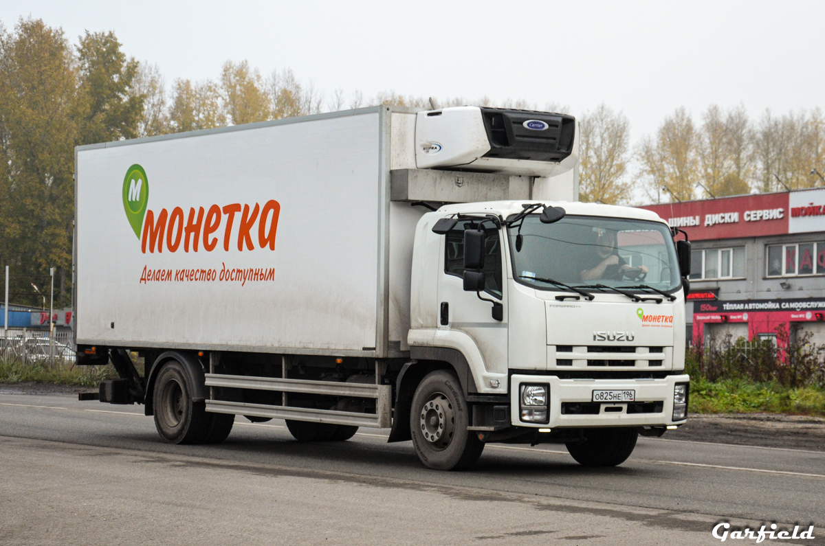 Кемеровская область, № О 825 НЕ 196 — Isuzu Forward FVR