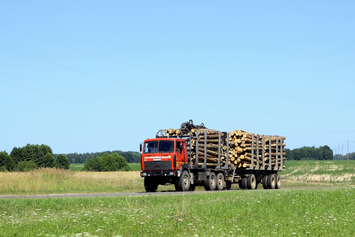 Могилёвская область, № АІ 6191-6 — МАЗ-6317 (общая модель)