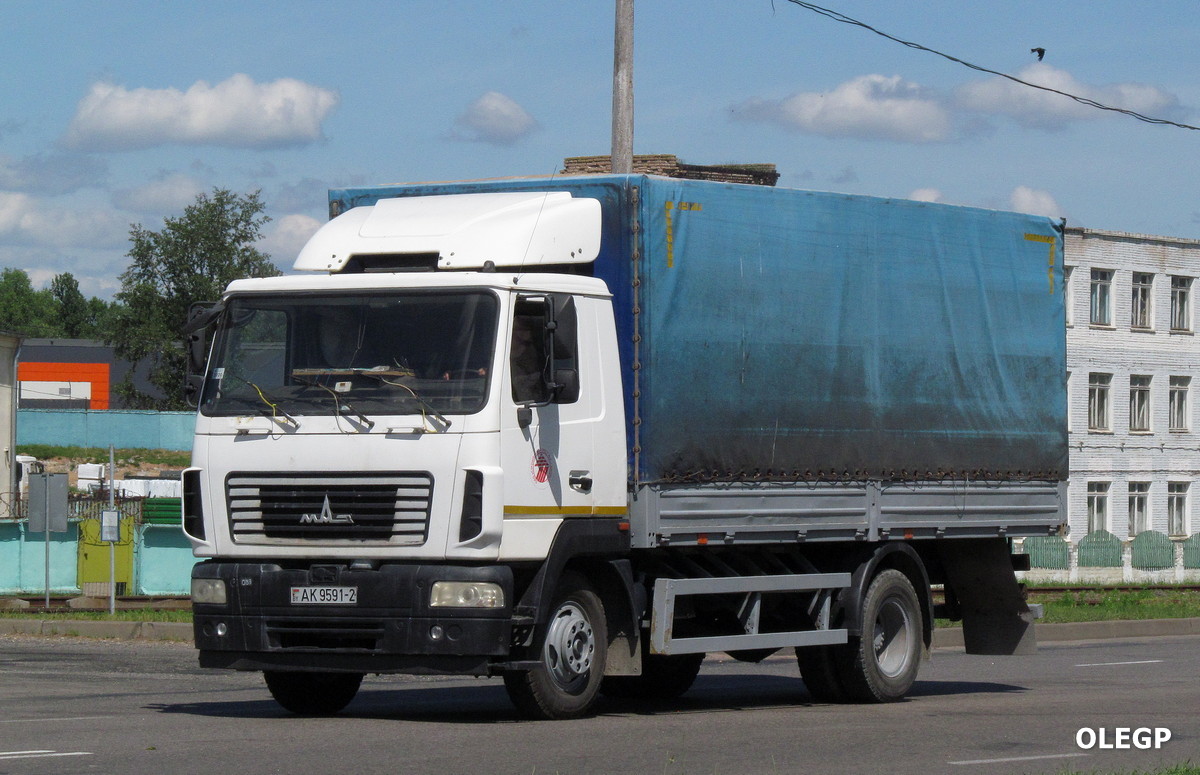 Витебская область, № АК 9591-2 — МАЗ-5340 (общая модель)