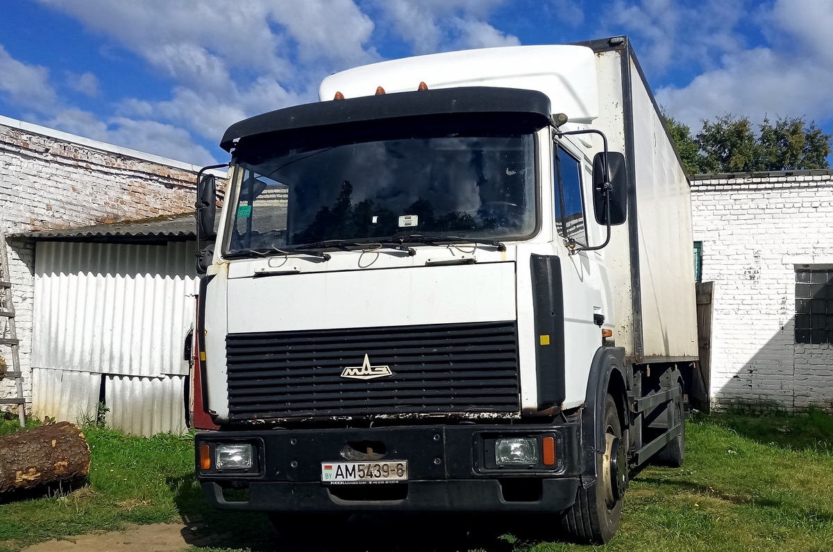 Могилёвская область, № АМ 5439-6 — МАЗ-5336 (общая модель)