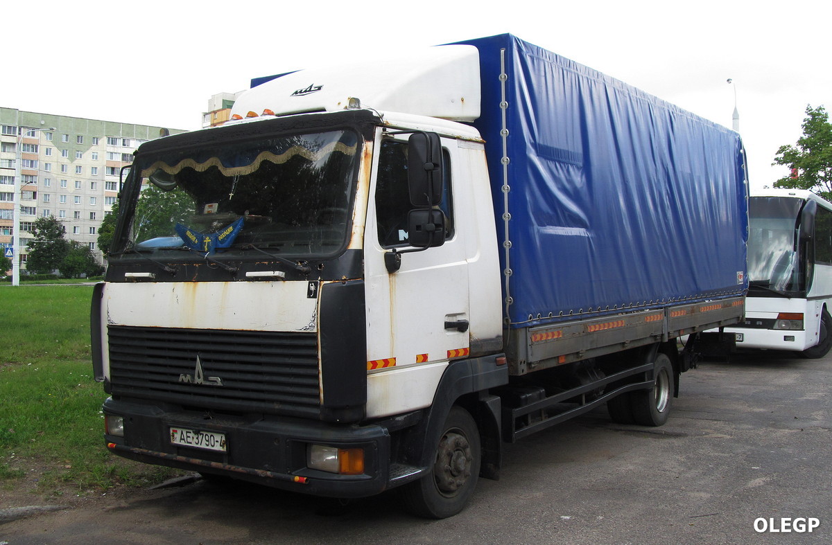 Гродненская область, № АЕ 3790-4 — МАЗ-4371 (общая модель)