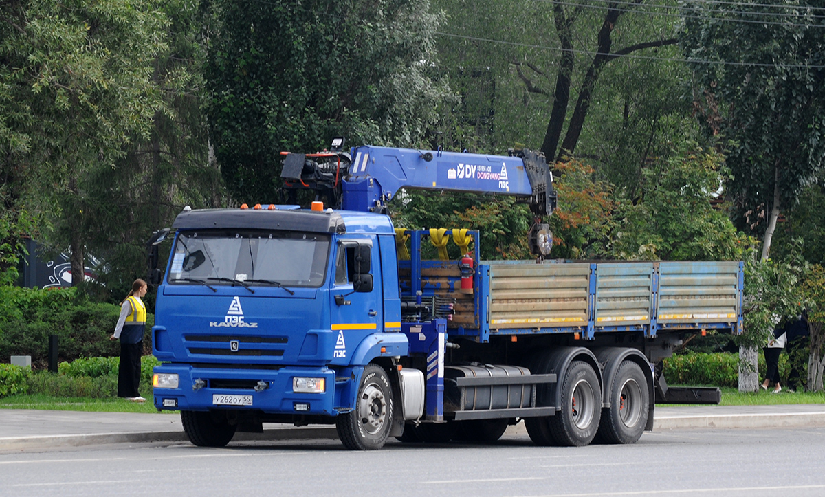 Омская область, № У 262 ОУ 55 — КамАЗ-65117 (общая модель)