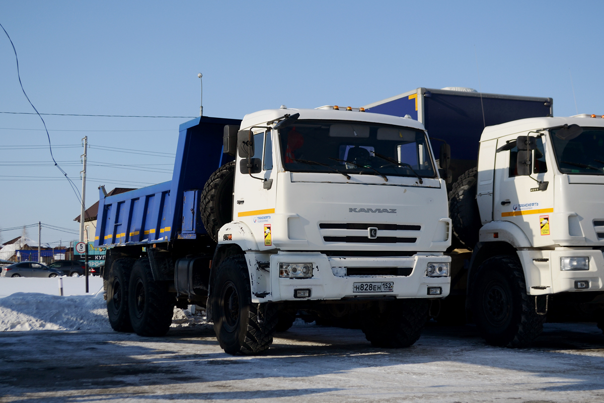 Нижегородская область, № Н 828 ЕН 152 — КамАЗ-43118 (общая модель)