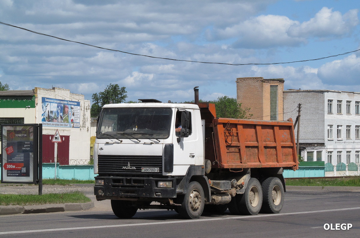 Витебская область, № АМ 7660-2 — МАЗ-6501 (общая модель)