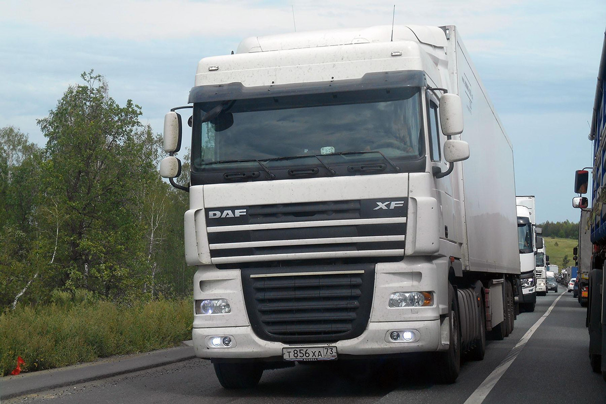 Ульяновская область, № Т 856 ХА 73 — DAF XF105 FT