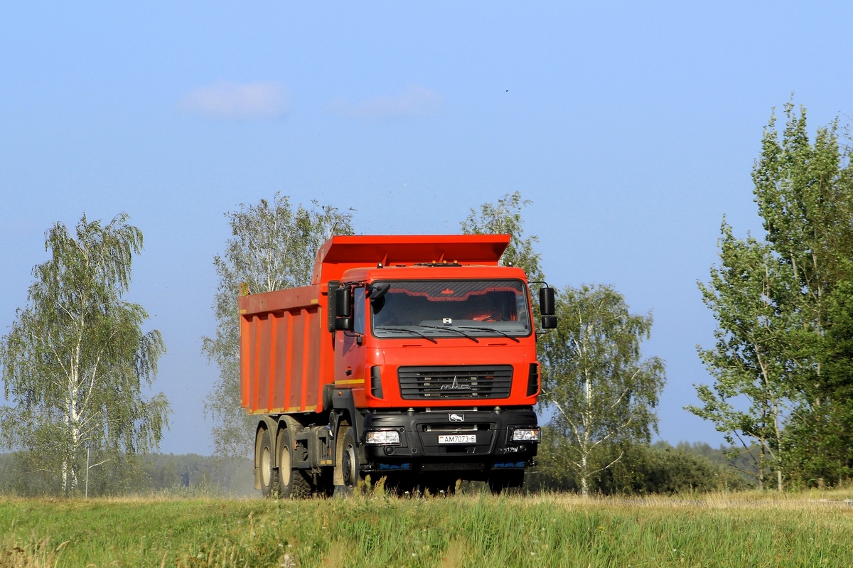 Могилёвская область, № АМ 7073-6 — МАЗ-6501 (общая модель)