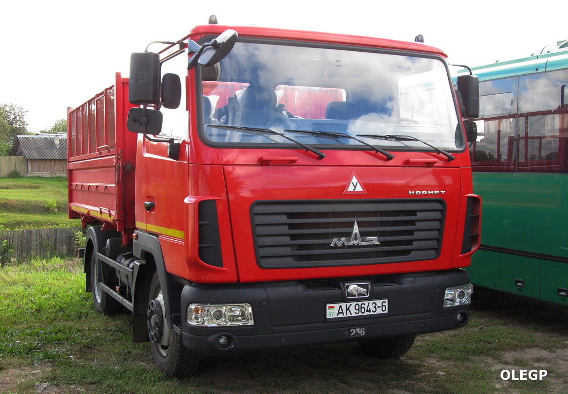 Могилёвская область, № АК 9643-6 — МАЗ-4571
