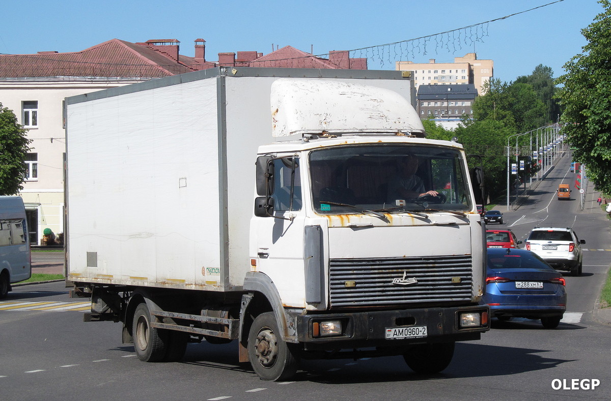 Витебская область, № АМ 0960-2 — МАЗ-4370 (общая модель)