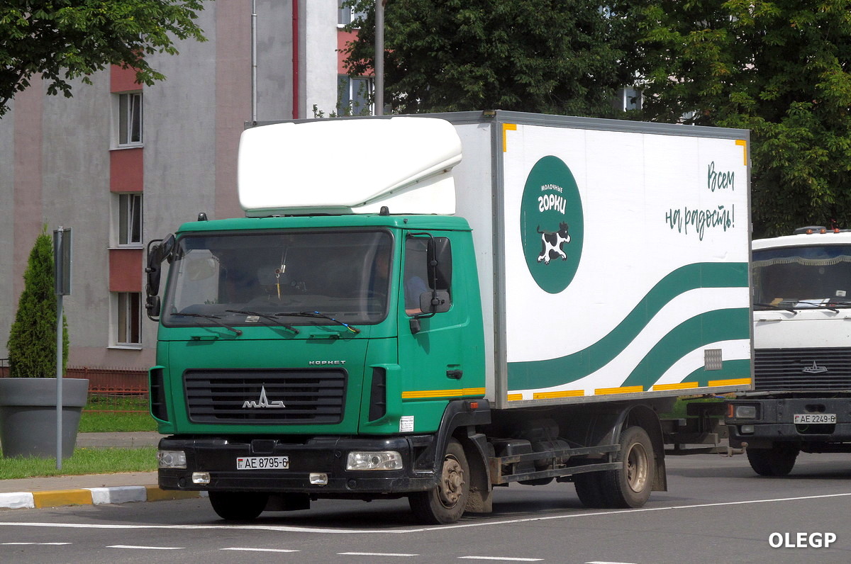 Могилёвская область, № АЕ 8795-6 — МАЗ-4371P2
