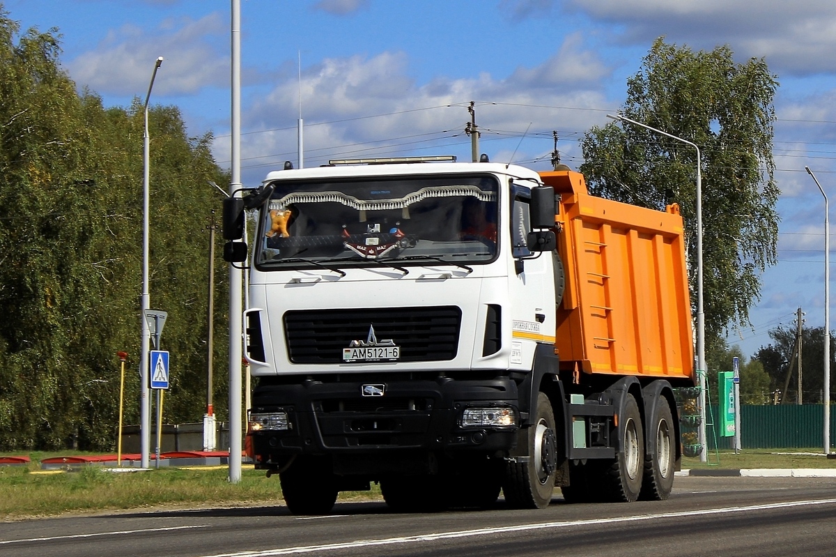Могилёвская область, № АМ 5121-6 — МАЗ-6501 (общая модель)