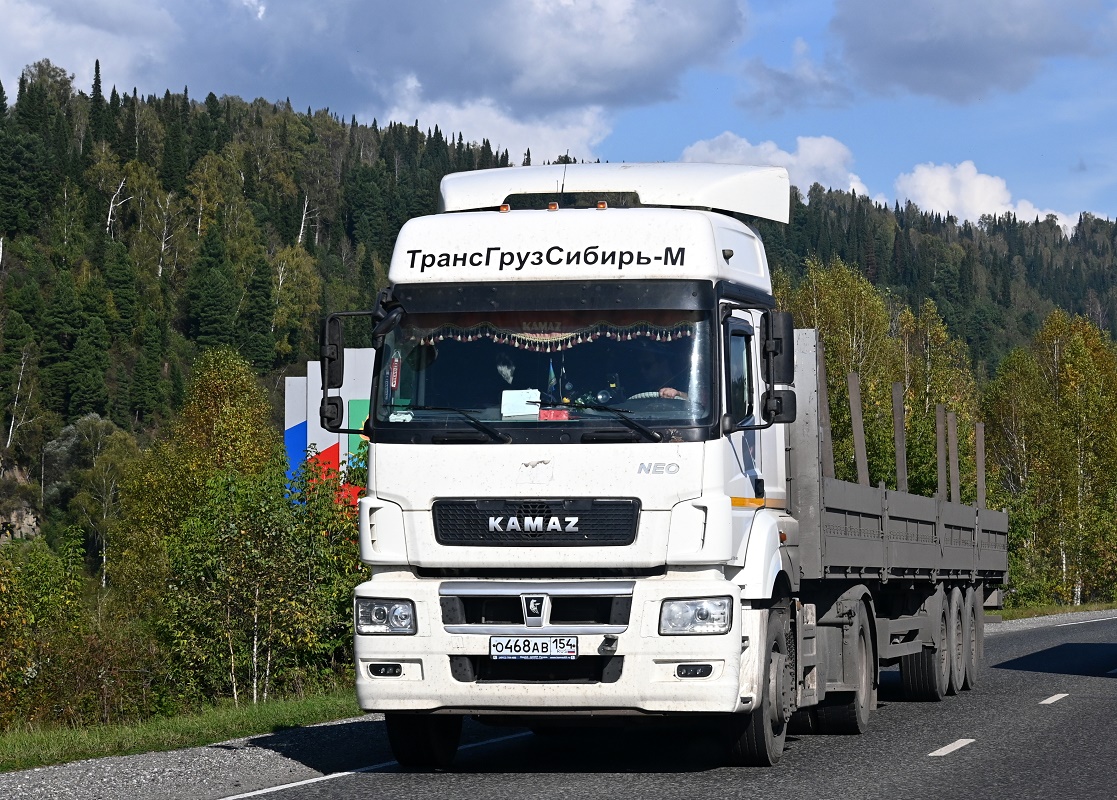 Новосибирская область, № О 468 АВ 154 — КамАЗ-5490-S5(87)