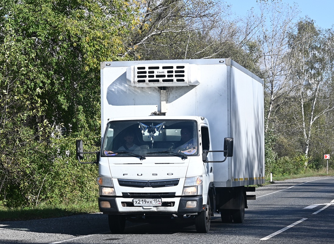 Новосибирская область, № Х 219 НХ 154 — Fuso Canter [Z8V, Z9M]