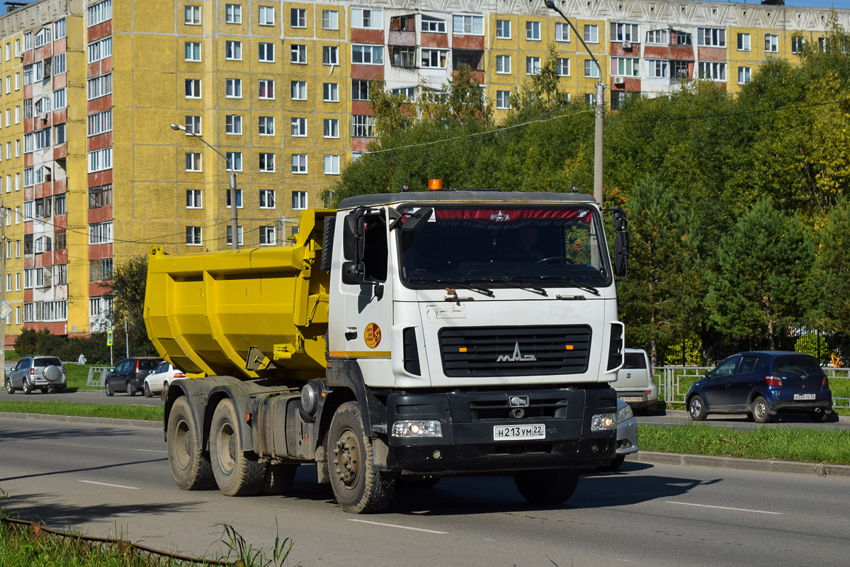 Алтайский край, № Н 213 УМ 22 — МАЗ-6501B5