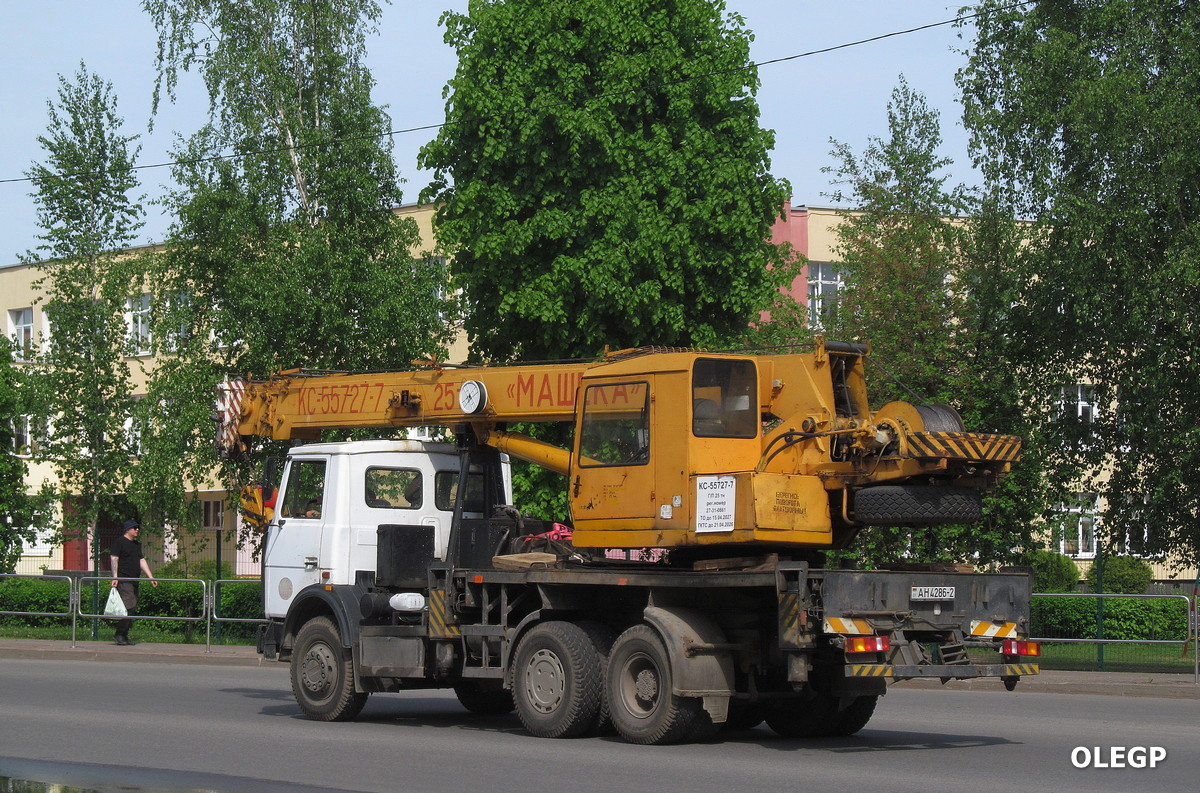 Витебская область, № АН 4286-2 — МАЗ-6303 (общая модель)