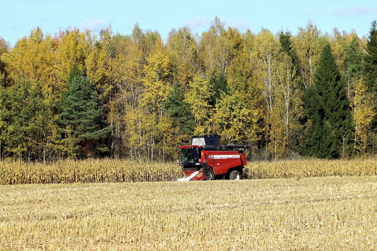 Могилёвская область, № ТК-6 7793 — КЗС-1218А-1 "Палессе GS12A1"