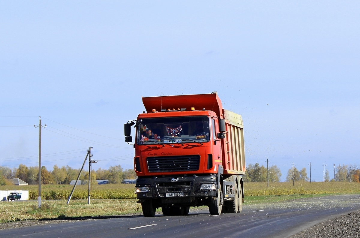 Могилёвская область, № АМ 2880-6 — МАЗ-6501 (общая модель)