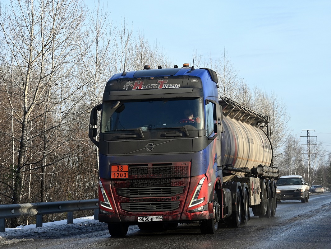 Новосибирская область, № О 036 НР 154 — Volvo ('2020) FH.500 [X9P]