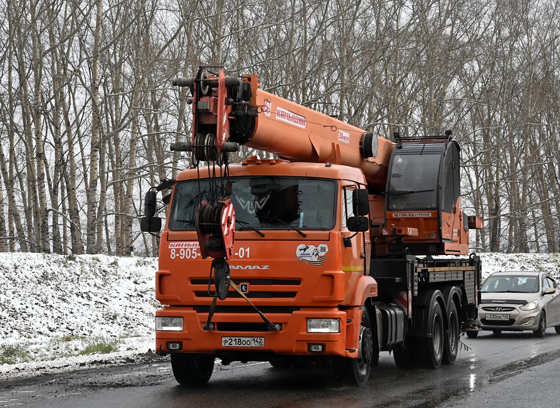 Кемеровская область, № Р 218 ОО 142 — КамАЗ-65115 (общая модель)